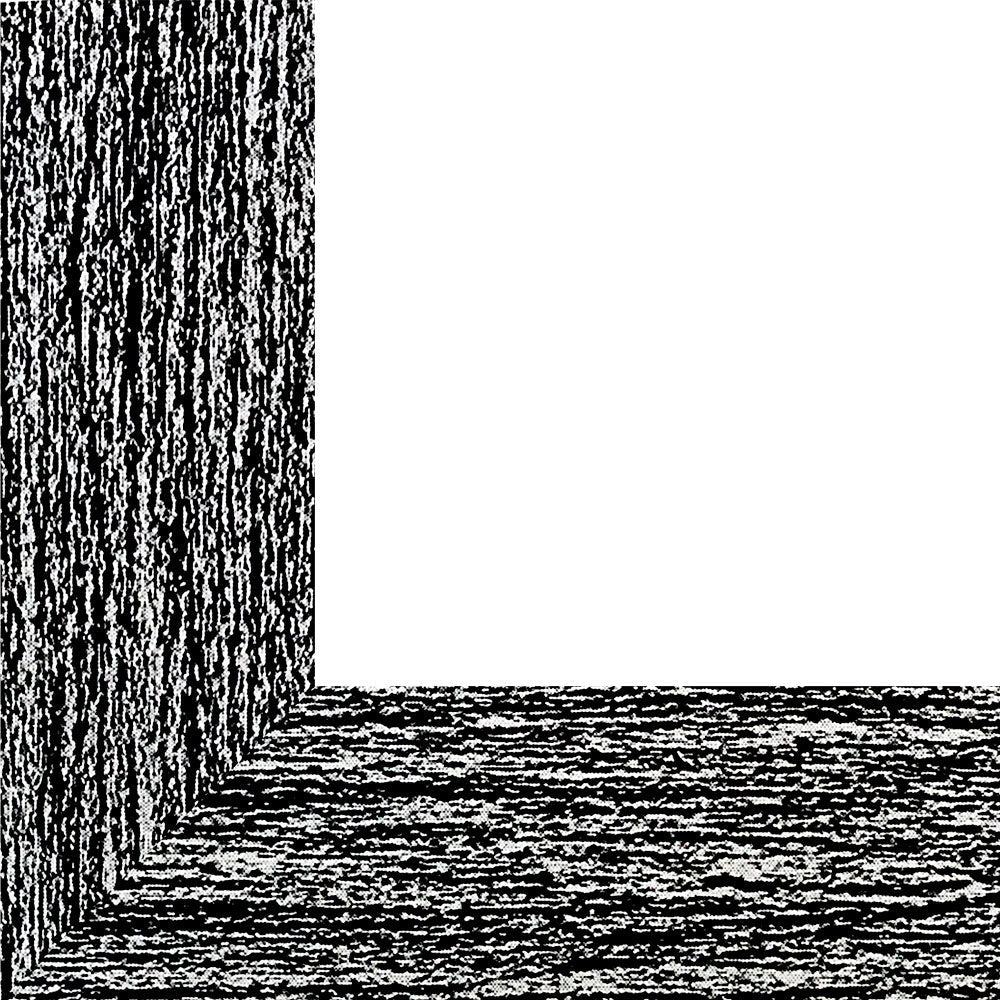 Rama foto Leon negru 10x15