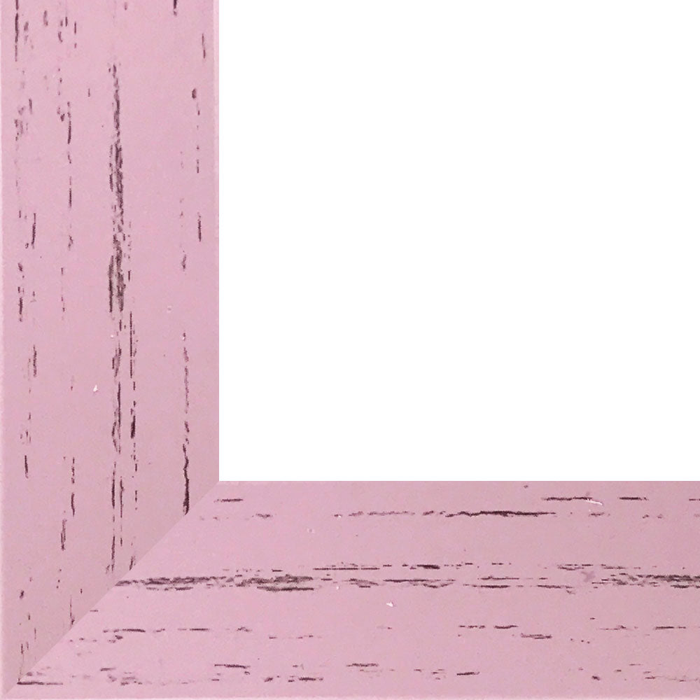 Rama foto Leon roz 13x18