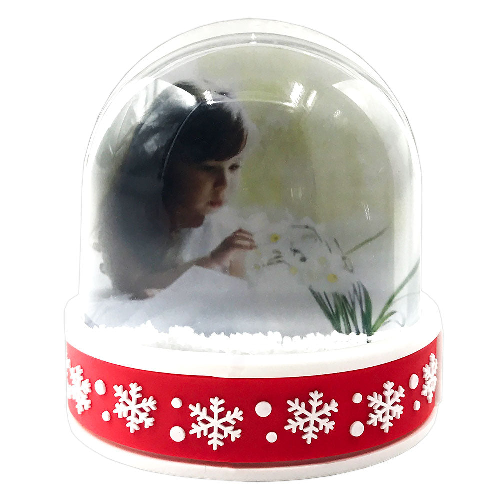 Glob insertie foto fulg de zapada - LED