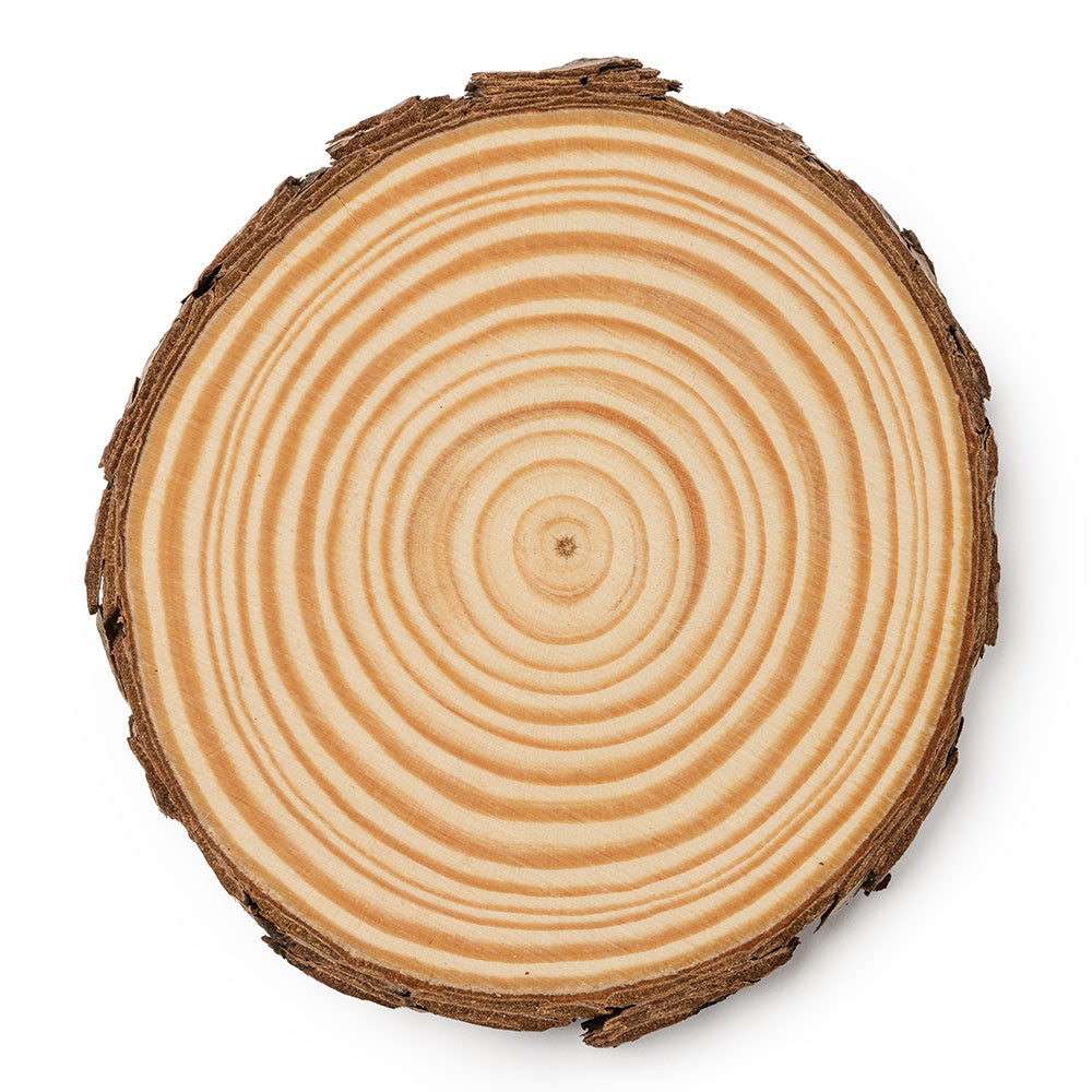 Set 4 felii de lemn in cutie - Ø 10cm x 1cm grosime