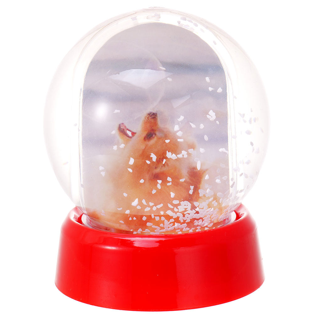 Glob foto Sfera cu zapada