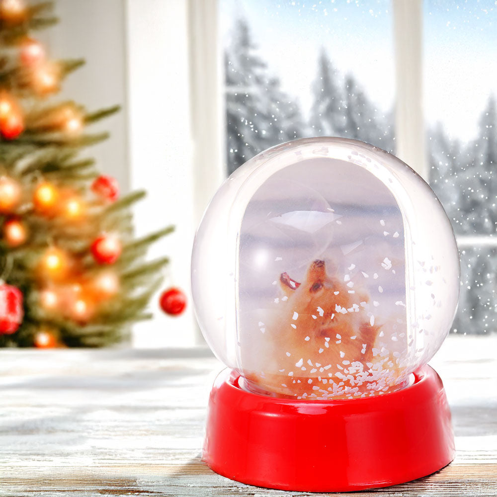 Glob foto Sfera cu zapada