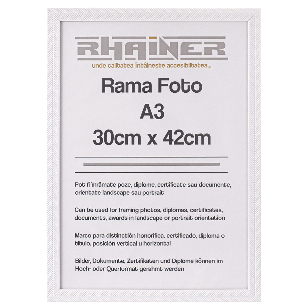 Rama foto Leon alb texturat A3