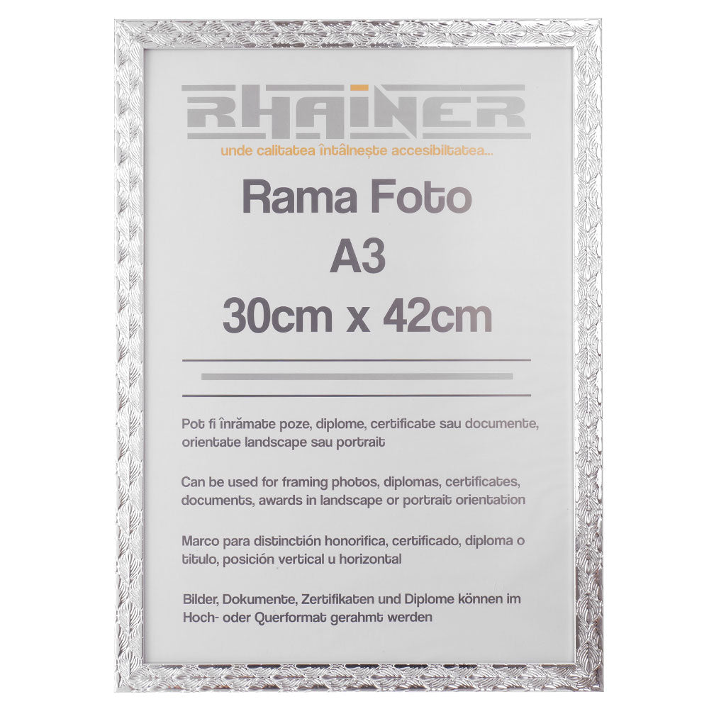 Rama foto Leon argintiu texturat A3
