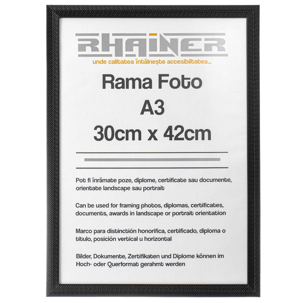 Rama foto Leon negru texturat A3