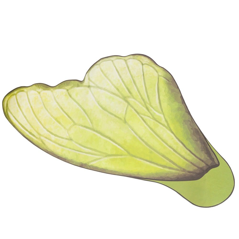 Foi de ambalat decorative model aripi de fluture - verde (set 10 buc) - CraftUp