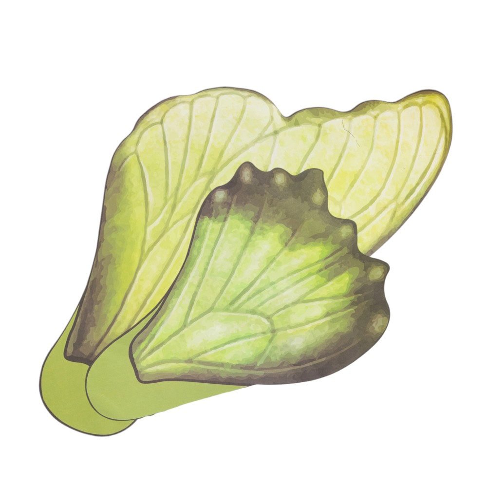 Foi de ambalat decorative model aripi de fluture - verde (set 10 buc) - CraftUp