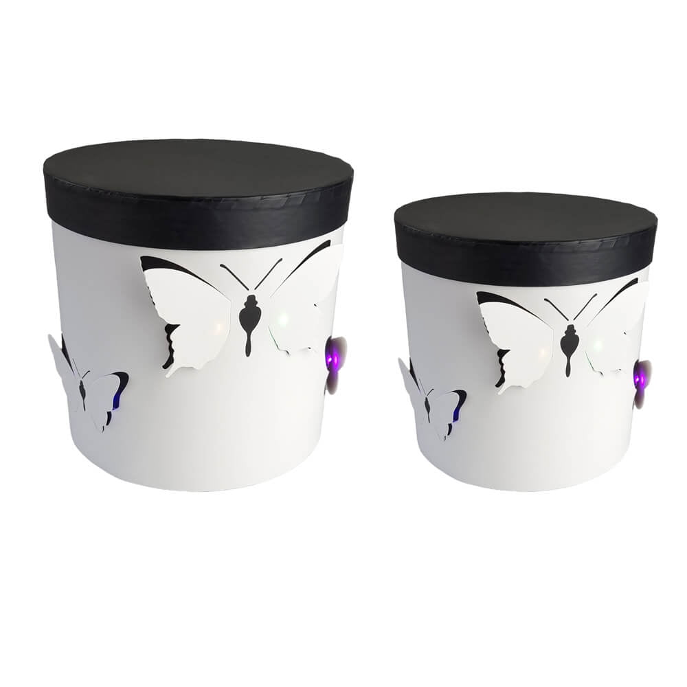 Set 2 cutii rotunde cu fluturi și lumini - alb - CraftUp