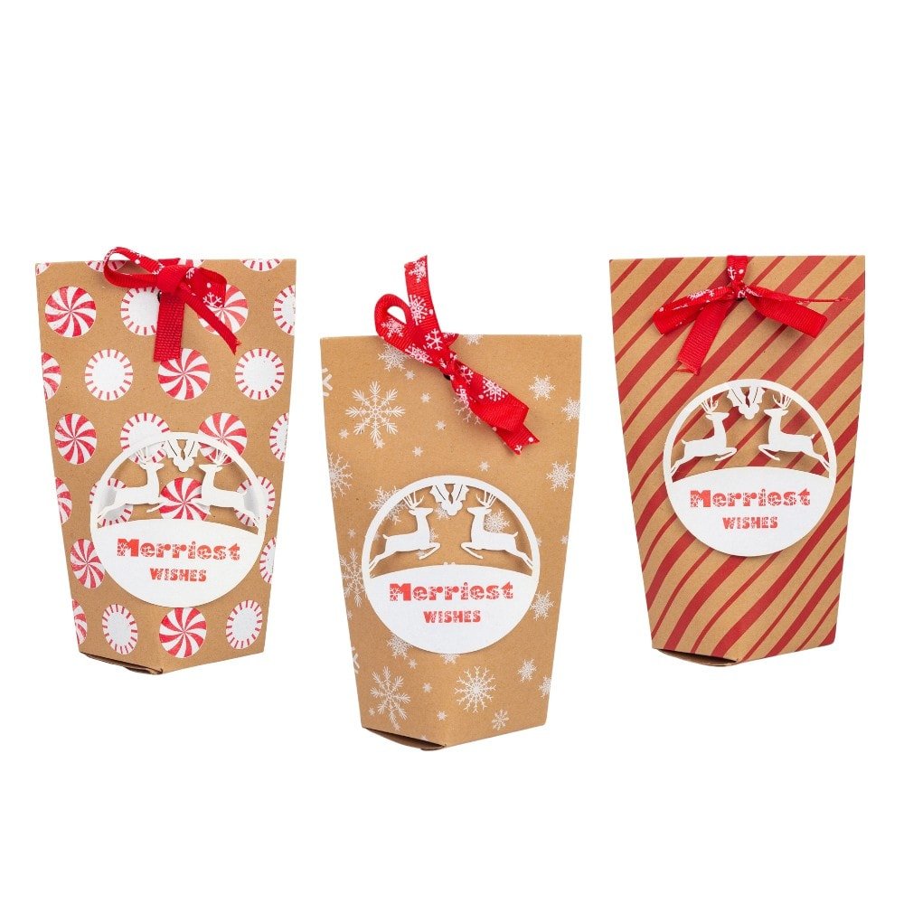 Set 24 pungi 3 modele diferite de Crăciun cu fundă și etichetă reni - kraft - CraftUp