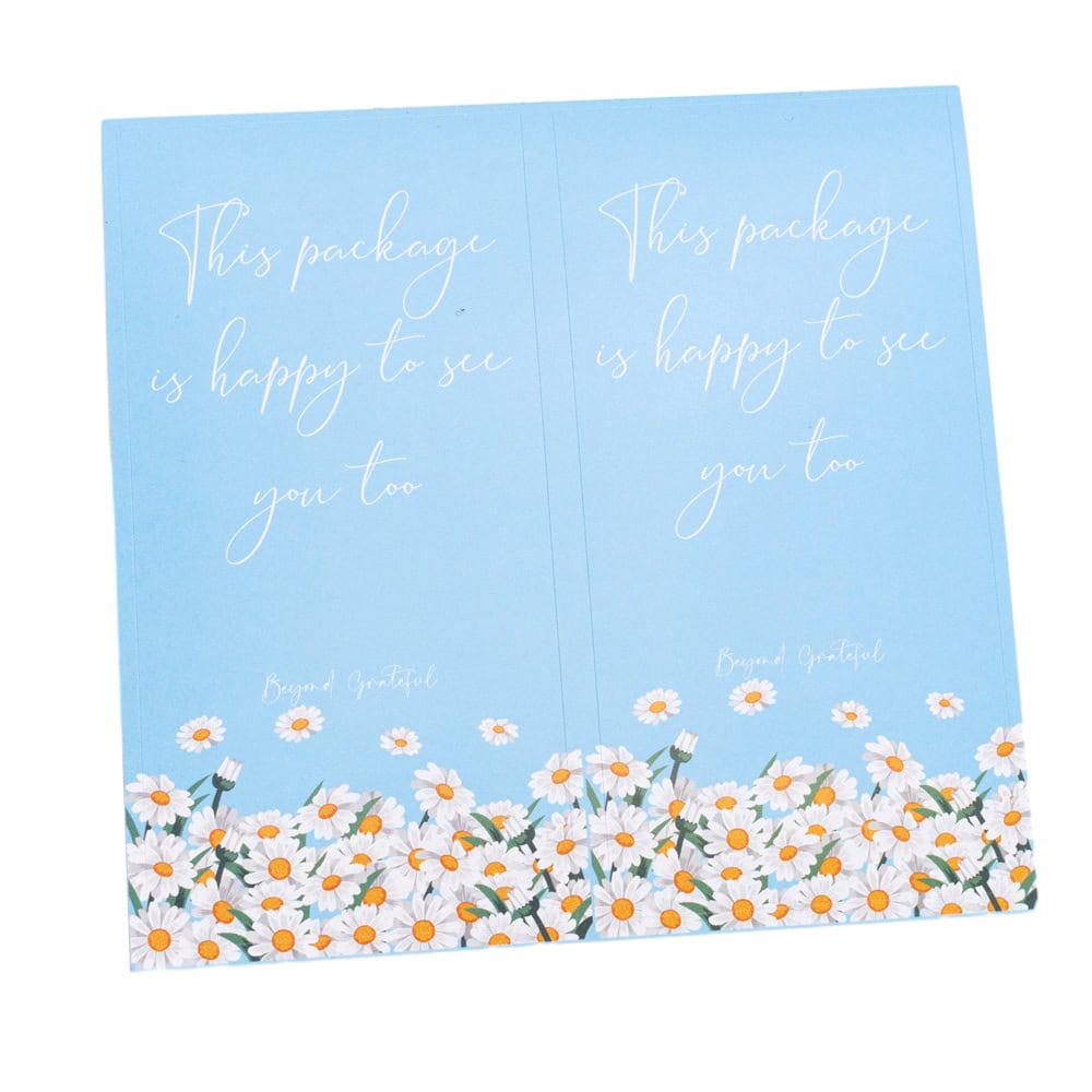 Stickere dreptunghiulare cu mesaj This package is happy to see you too - bleu (set 50 buc) - CraftUp